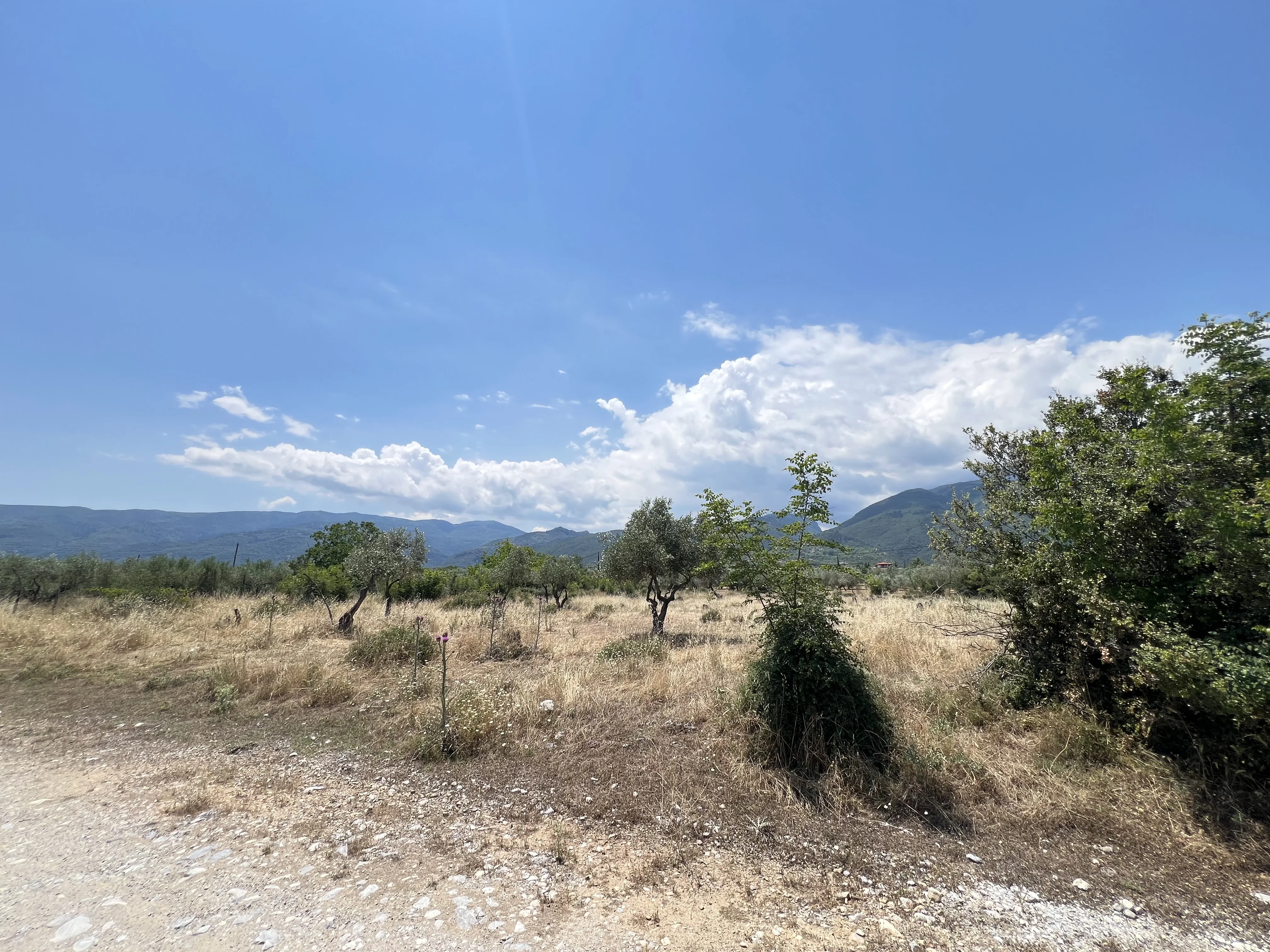 Αγρόκτημα 700μ. άνω της Εθνικής Οδού